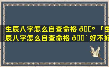 生辰八字怎么自查命格 🌺 「生辰八字怎么自查命格 🌴 好不好」